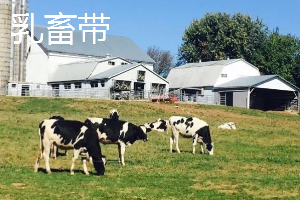 美国农业发展的不利和有利条件，其农业机械化水平较高