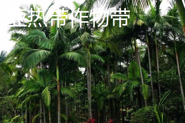 美国农业发展的不利和有利条件，其农业机械化水平较高