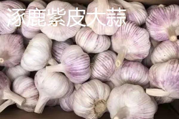 河北省涿鹿县的特产,有大杏扁、涿鹿紫皮大蒜等