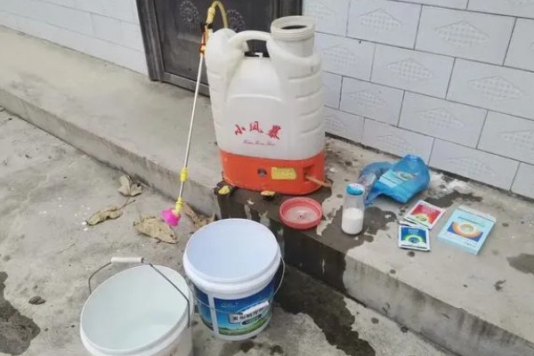 高温多雨天怎么使用杀虫剂，一定要选择合适的药剂