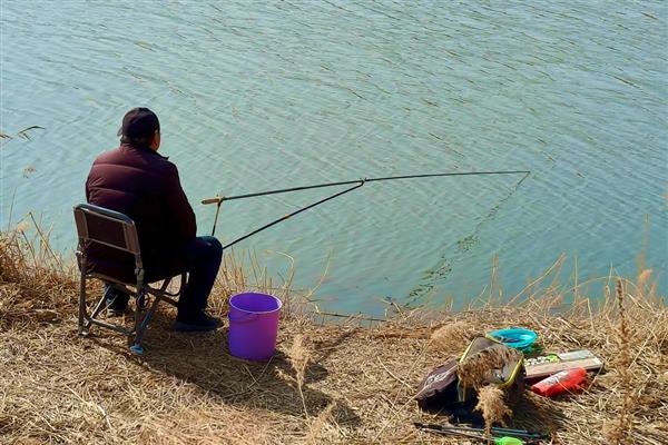 0.8号子线可以钓几斤重的鱼，垂钓重量一般是2-3斤