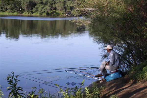 0.8号子线可以钓几斤重的鱼，垂钓重量一般是2-3斤