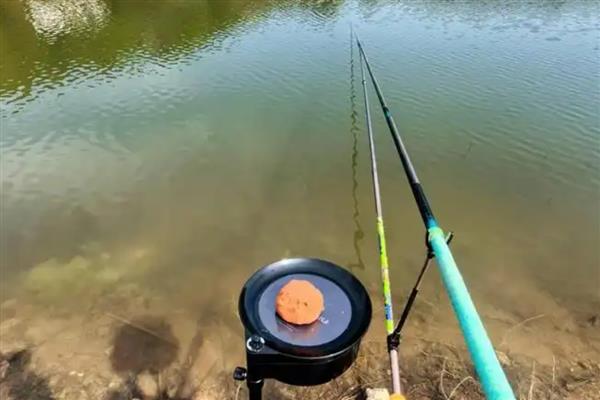 0.8号子线可以钓几斤重的鱼，垂钓重量一般是2-3斤