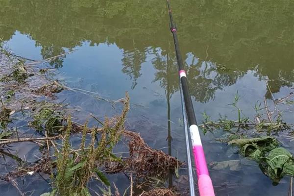 0.8号子线可以钓几斤重的鱼，垂钓重量一般是2-3斤