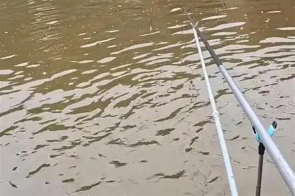 0.8号子线可以钓几斤重的鱼，垂钓重量一般是2-3斤