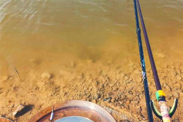 0.8号子线可以钓几斤重的鱼，垂钓重量一般是2-3斤