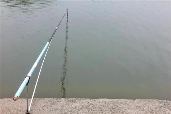 0.8号子线可以钓几斤重的鱼，垂钓重量一般是2-3斤