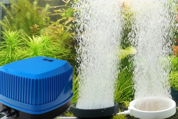 给金鱼换自来水要做什么处理，暴晒2-3天可以消除氯气