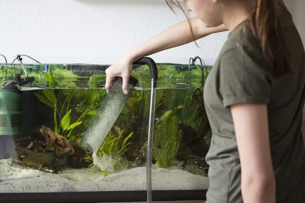 给金鱼换自来水要做什么处理，暴晒2-3天可以消除氯气