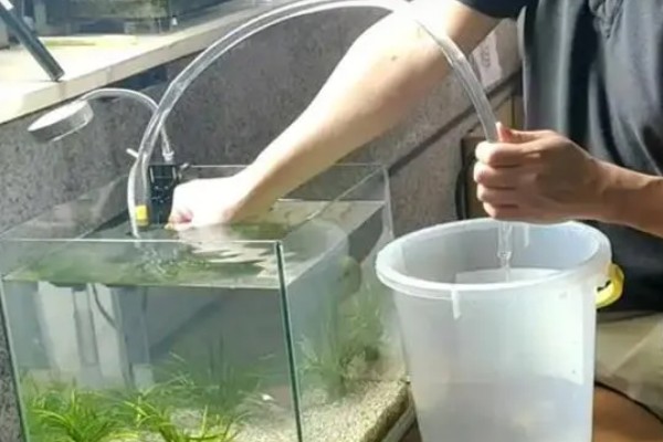 给金鱼换自来水要做什么处理，暴晒2-3天可以消除氯气