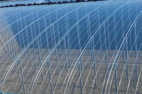 冬季怎么避免大棚缺光，使用透明的薄膜可以增加透光率