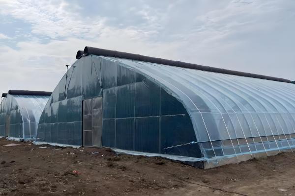 冬季怎么避免大棚缺光，使用透明的薄膜可以增加透光率