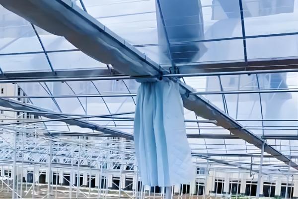 冬季怎么避免大棚缺光，使用透明的薄膜可以增加透光率