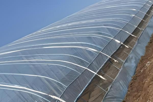 冬季怎么避免大棚缺光，使用透明的薄膜可以增加透光率