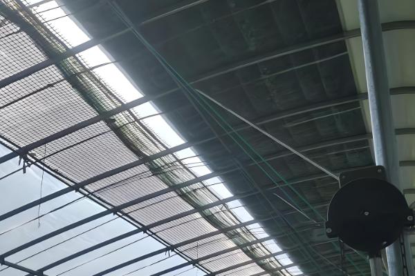 冬季怎么避免大棚缺光，使用透明的薄膜可以增加透光率