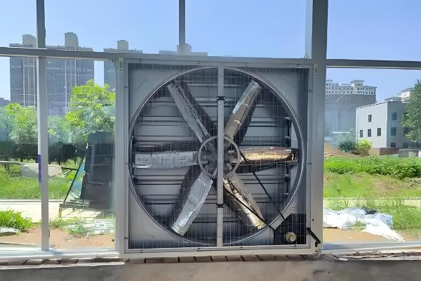 冬季怎么避免大棚缺光，使用透明的薄膜可以增加透光率