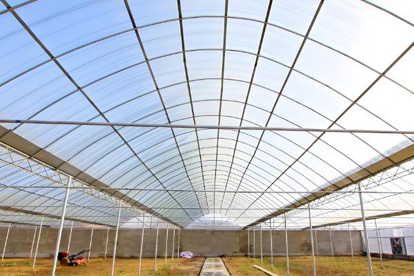 冬季怎么避免大棚缺光，使用透明的薄膜可以增加透光率