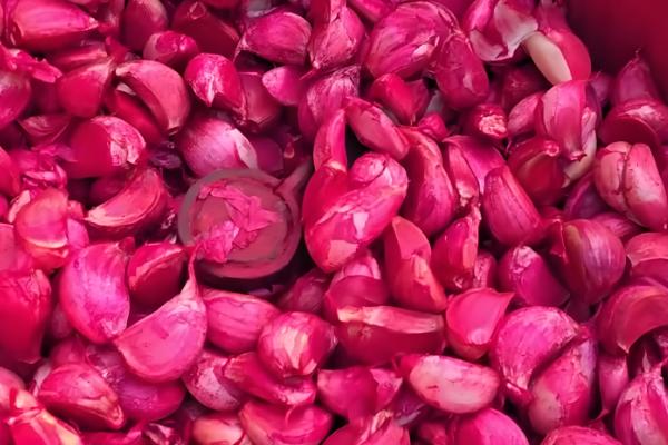 大蒜何时种植，3-4月份、9-10月份均可栽培