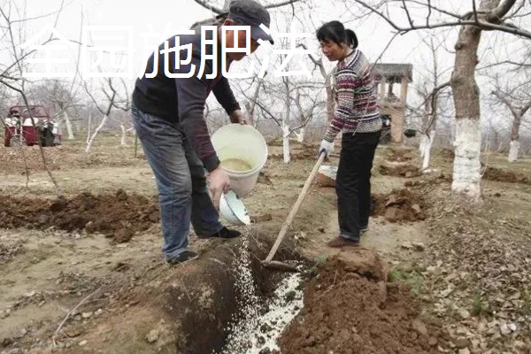 果树施肥的部位，以树冠投影边缘或梢边部位为主