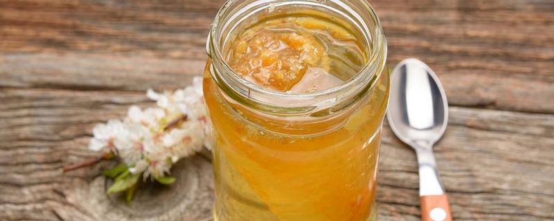 狗狗喝了蜂蜜水会怎么样，可以帮助狗狗润滑肠道