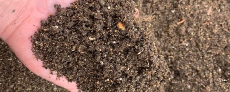 营养土怎么使用，放在花盆的低端