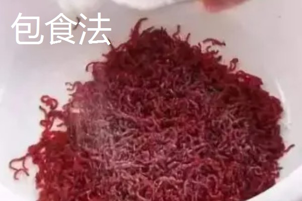 红虫的挂钩方法,有以下5种常用方式