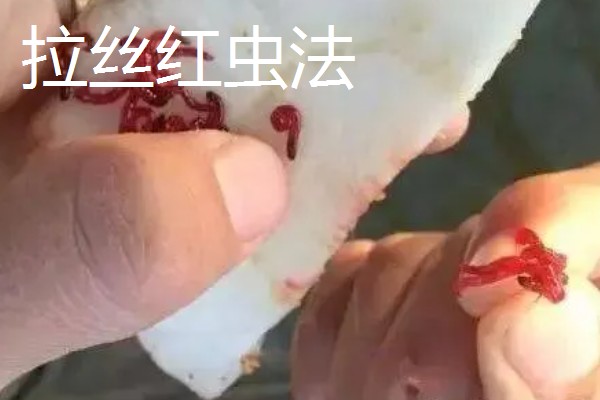红虫的挂钩方法,有以下5种常用方式