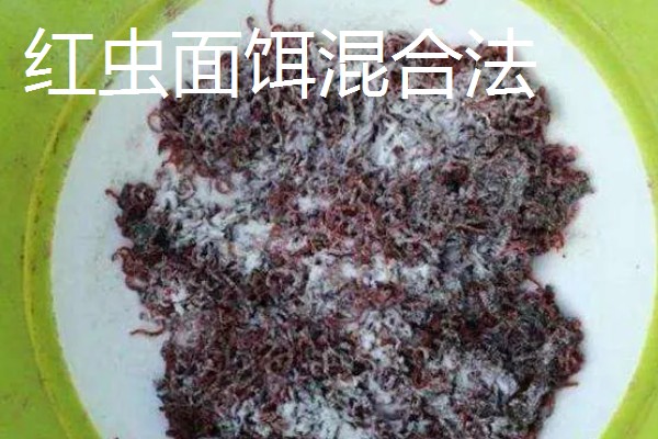 红虫的挂钩方法,有以下5种常用方式