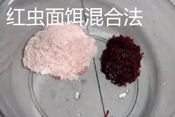 红虫的挂钩方法,有以下5种常用方式