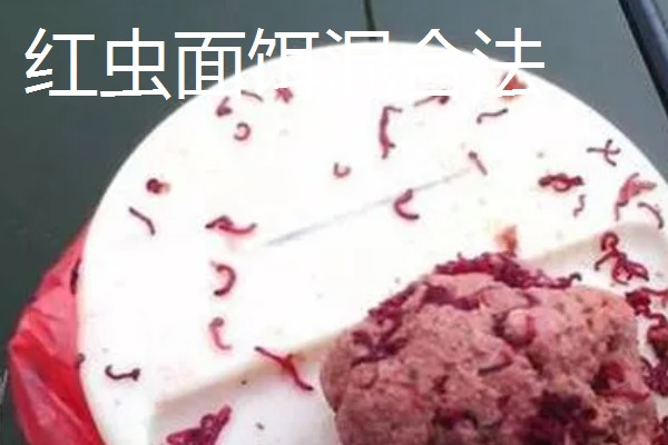 红虫的挂钩方法,有以下5种常用方式