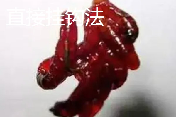 红虫的挂钩方法,有以下5种常用方式