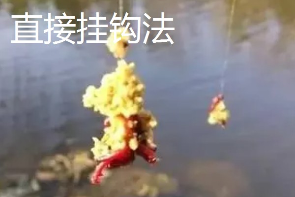 红虫的挂钩方法,有以下5种常用方式