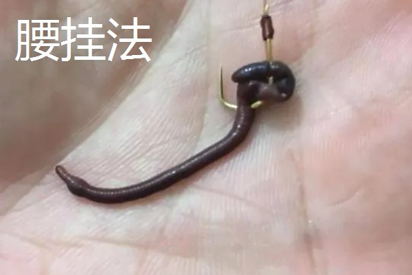 红虫的挂钩方法,有以下5种常用方式