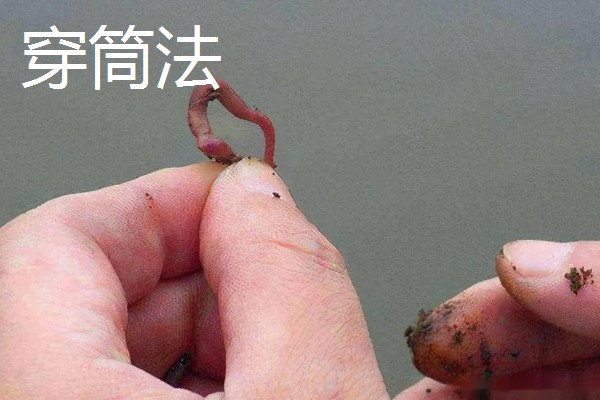 红虫的挂钩方法,有以下5种常用方式