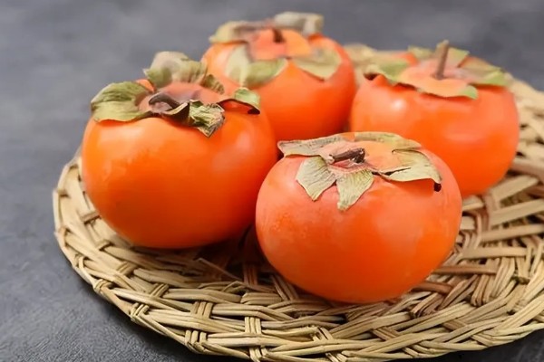 狗能吃柿子吗，不建议吃柿子