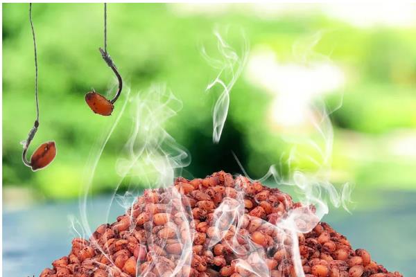 野钓鲫鱼用什么饵料,蚯蚓、红虫、野战蓝鲫等鱼饵都是适宜选择