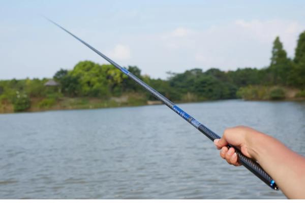 野钓鲫鱼用什么饵料,蚯蚓、红虫、野战蓝鲫等鱼饵都是适宜选择