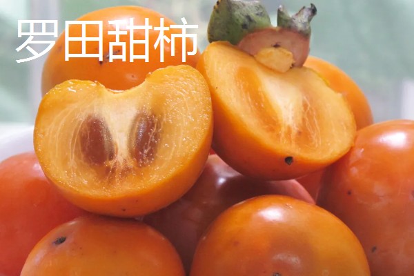 柿子有什么种类,常见鸡心黄柿子、镜面柿等品种