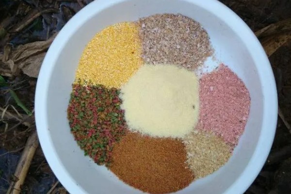 化氏尺上的简介，属于本味型饵料