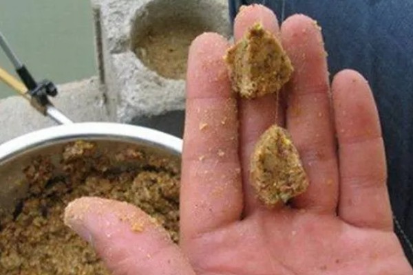 化氏尺上的简介，属于本味型饵料