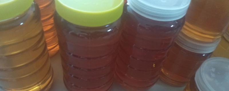 四大名蜜的特点，槐花蜜是上等蜂蜜