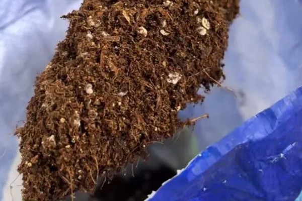 营养土怎么使用，放在花盆的低端