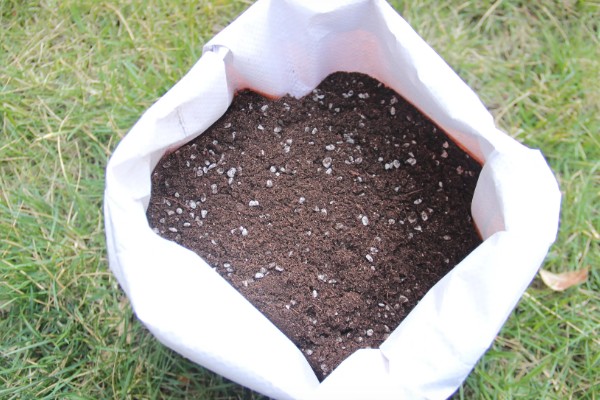 营养土怎么使用，放在花盆的低端