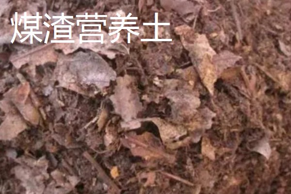 营养土怎么使用，放在花盆的低端