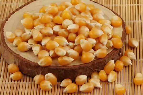 爆裂玉米的高产栽培技术，以4月中旬及5月中旬播种为宜