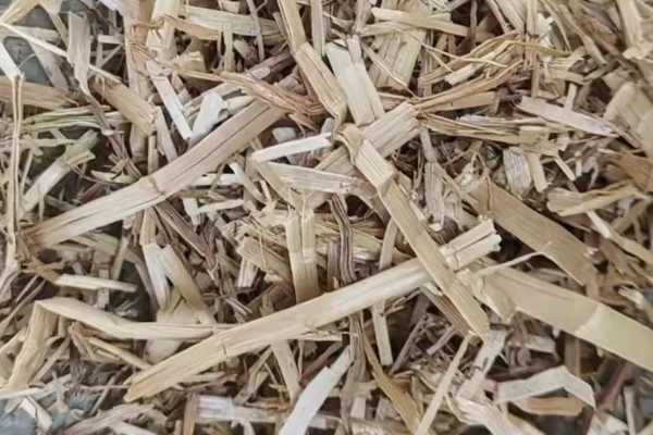 羊吃麦秸有什么坏处,通常会出现上火的现象