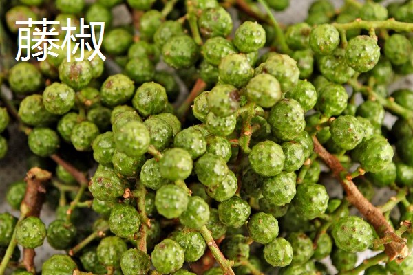花椒与藤椒有什么区别，颜色、口味均不同