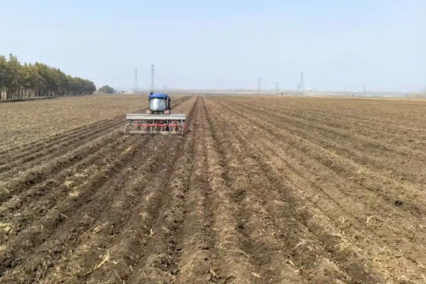 春小麦的施肥技术，基肥应选择农家肥