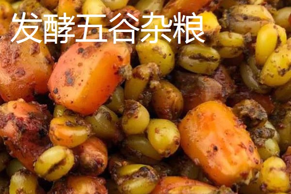 野钓鲤鱼打窝技巧,可以用发酵五谷杂粮打窝