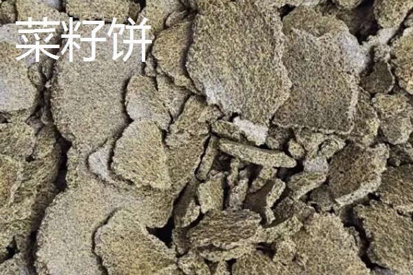 野钓鲤鱼打窝技巧,可以用发酵五谷杂粮打窝